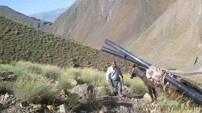 Lolehkeshisioliz_tabestan1392 (3).jpg